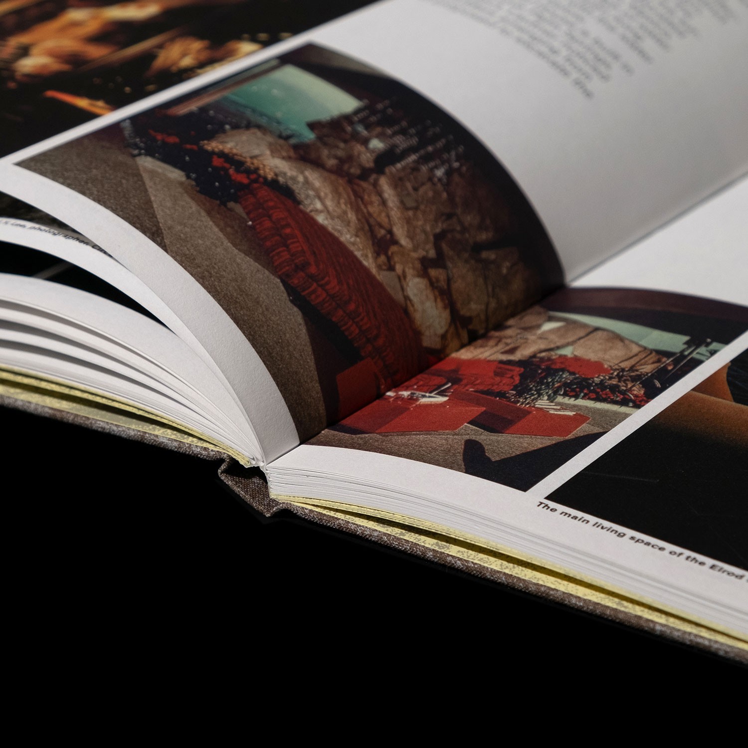 detail of the binding