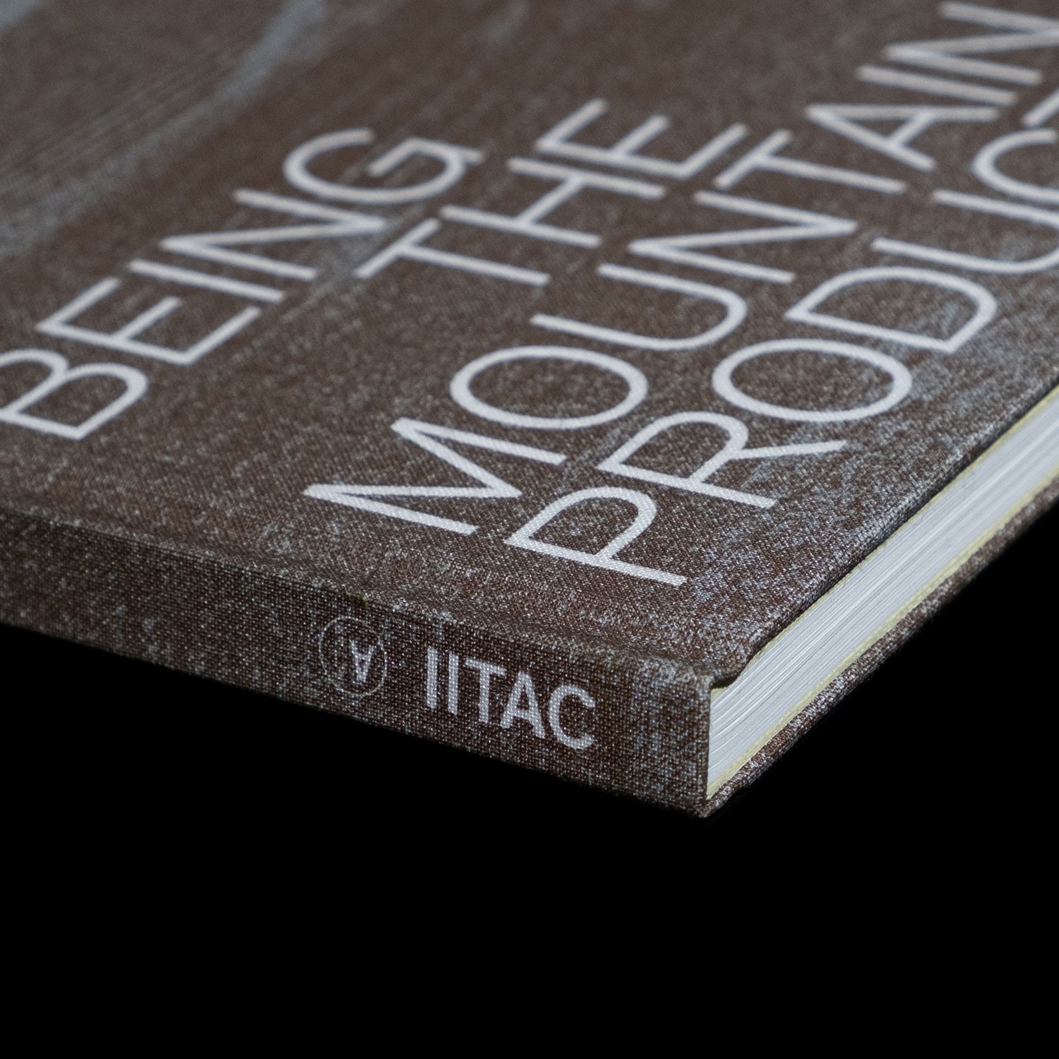 detail of the spine and materiality of the cover