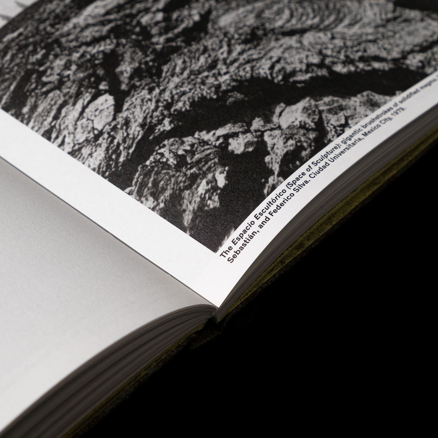 detail of the binding