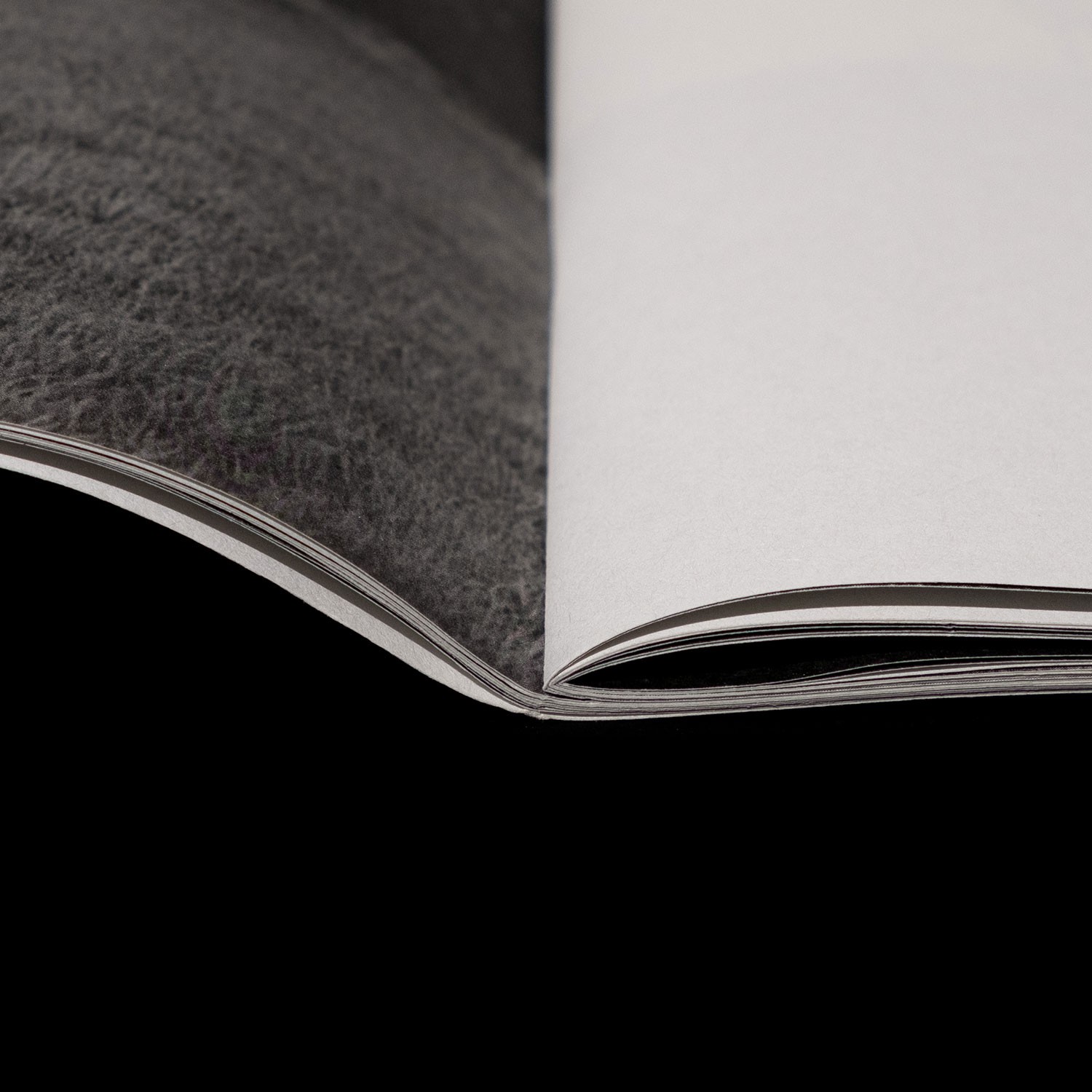 detail of the binding