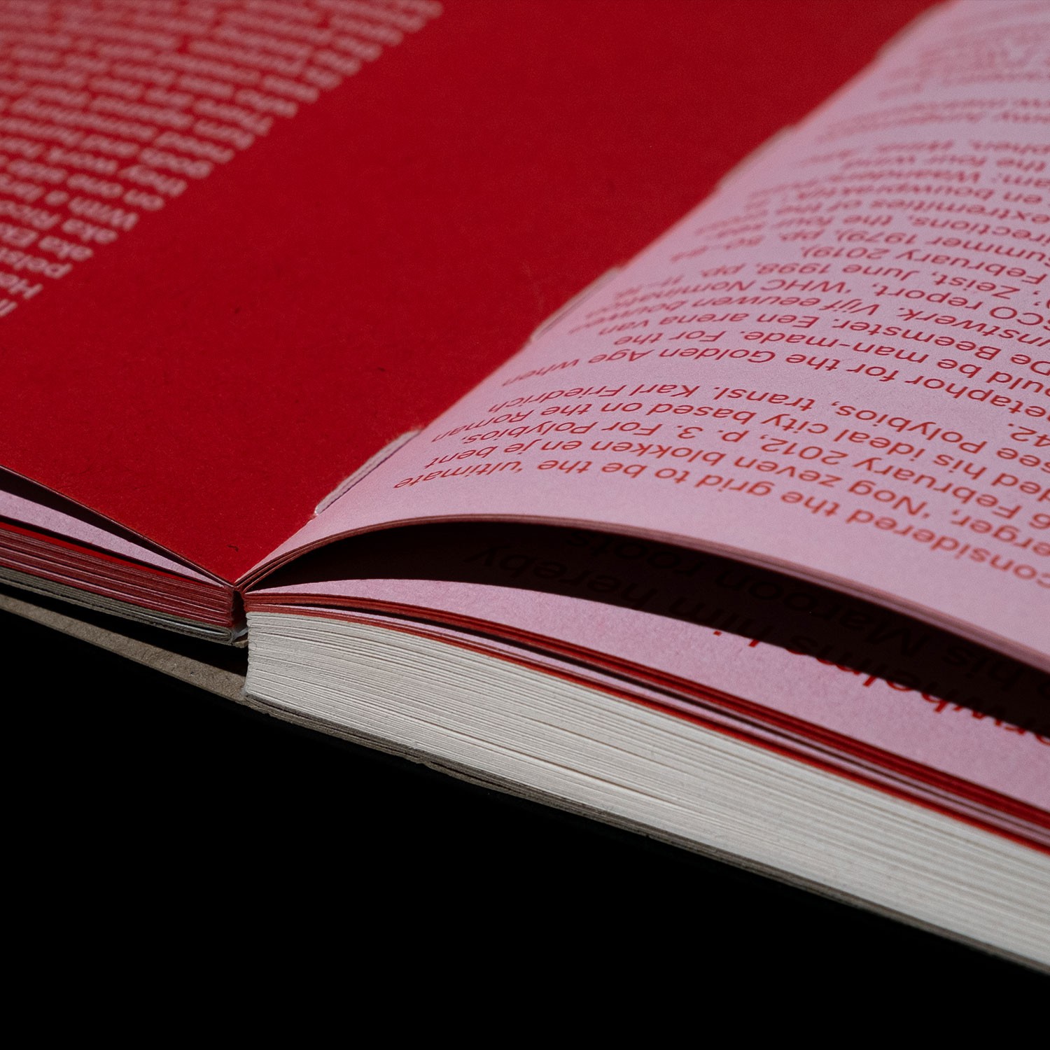 detail of the binding