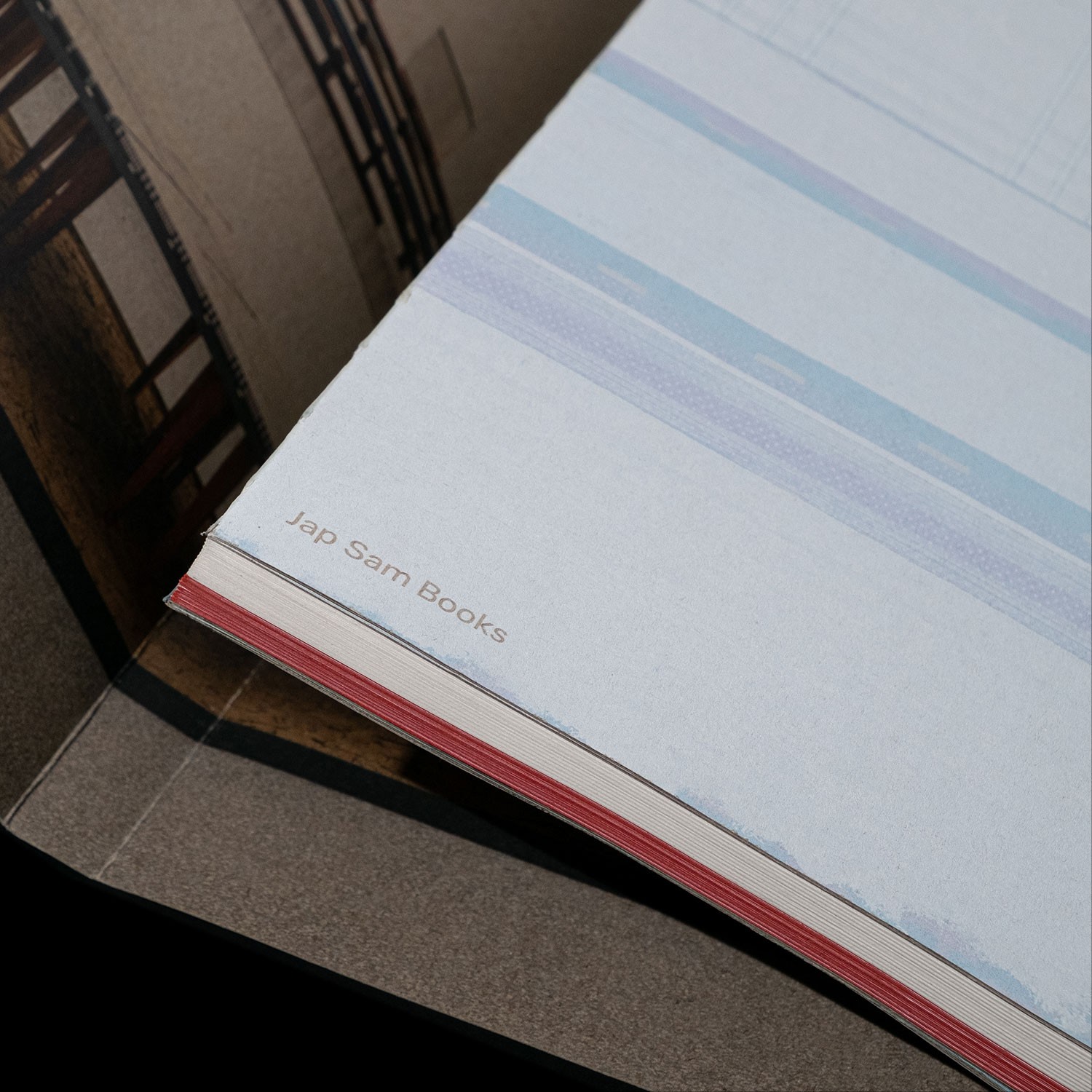 detail of the binding